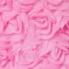The Rosette Tulle Dres