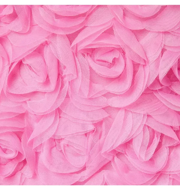 The Rosette Tulle Dres